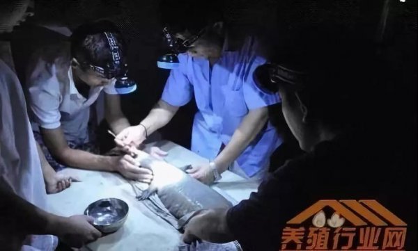 資本試水區(qū)塊鏈生物科技+大健康，場(chǎng)景應(yīng)用時(shí)代已然來(lái)臨！
